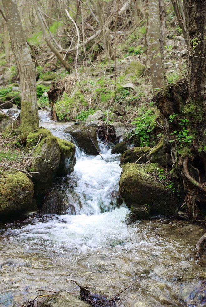 Vallée de la TêT 11 Les PYRENEES ORIENTALES Beauté et Paysages de